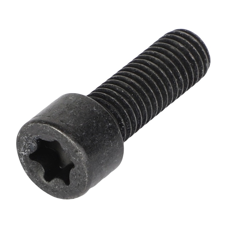 AGCO | Torx Head Screw - Acw5246500