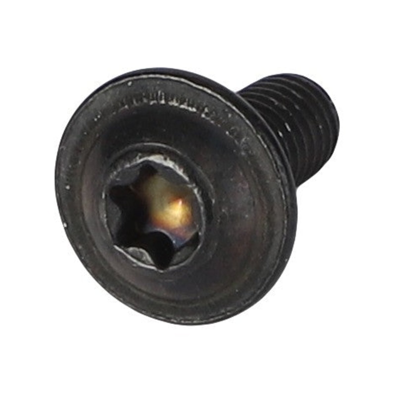 AGCO | Torx Screw - Acw3343360