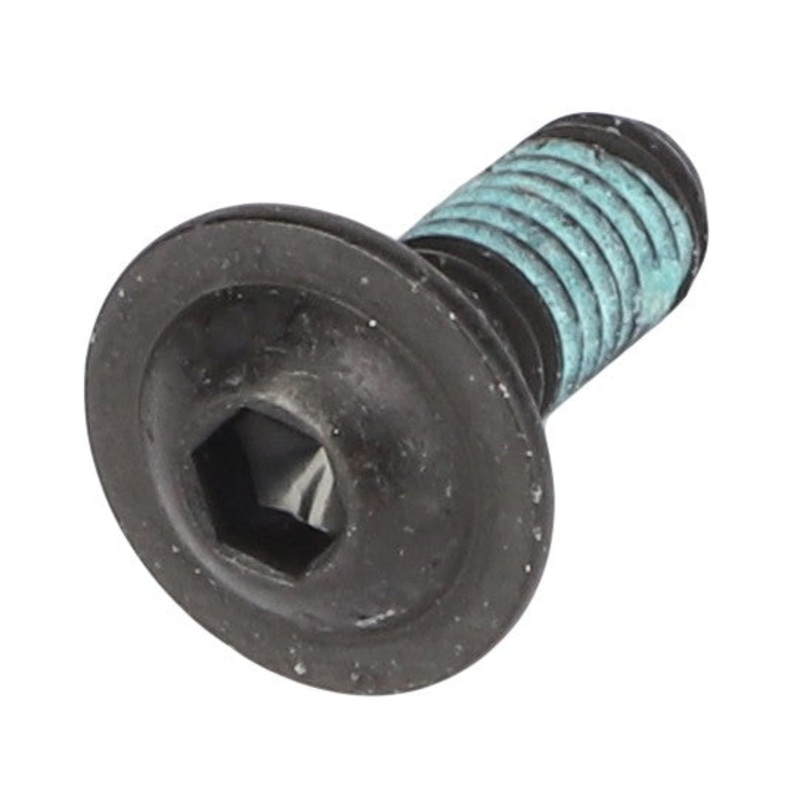 AGCO | Torx Head Screw - Acw6176140