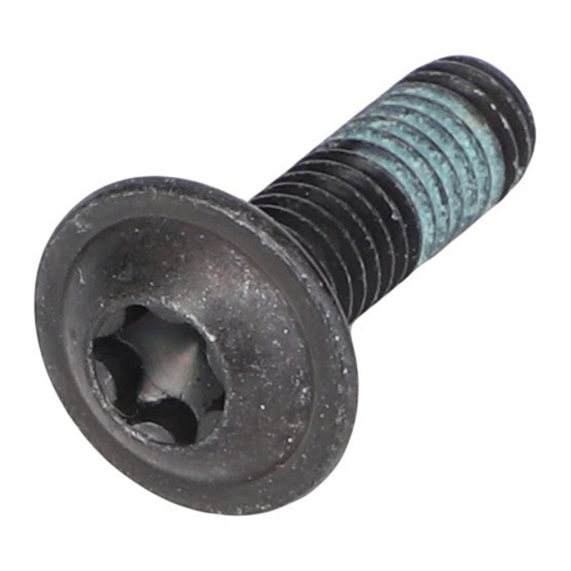 AGCO | Torx Head Screw - Acw6176150