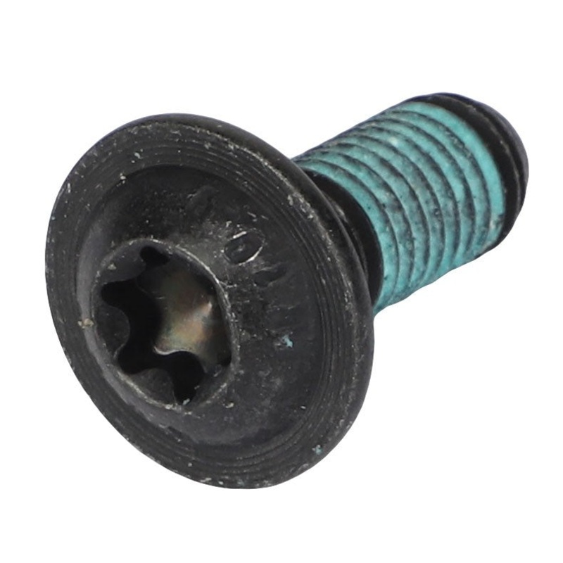 AGCO | Torx Head Screw - Acw9572930