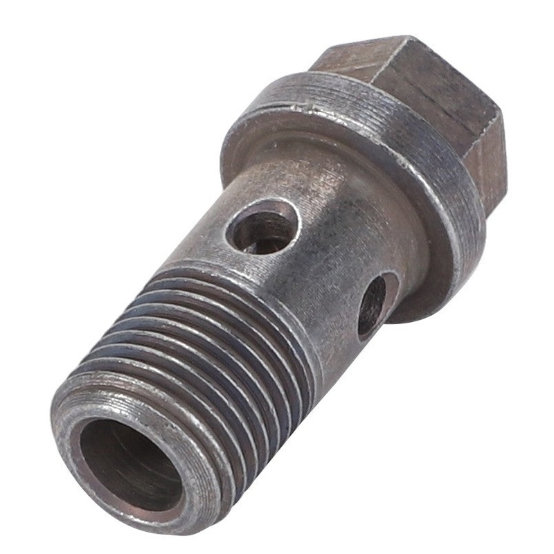 AGCO | Banjo Bolt - F100002231136